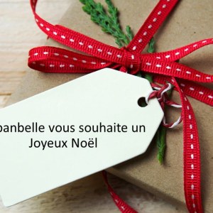 Décorations et offres de Noël 2022